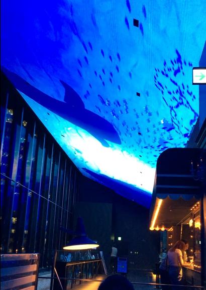 BAR PANORAMA 【バールパノーラマ】 池袋で天井にクジラが泳いでる映像が流れるカフェ