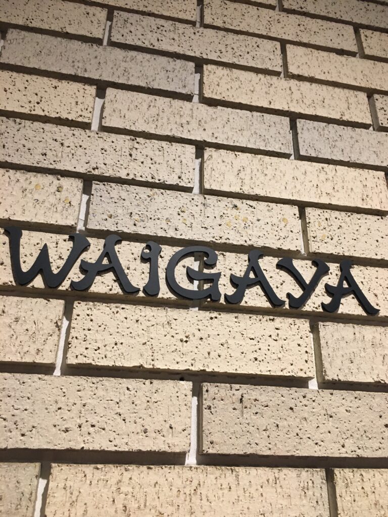WAIGAYA 新宿ワイガヤハンバーグ