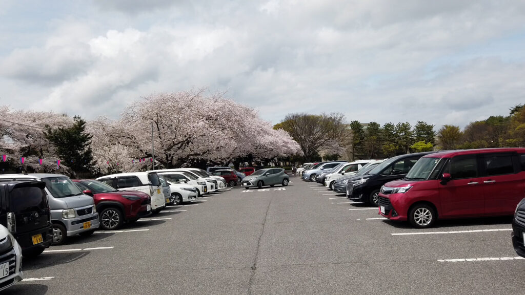 無料駐車場のある関東花見場所