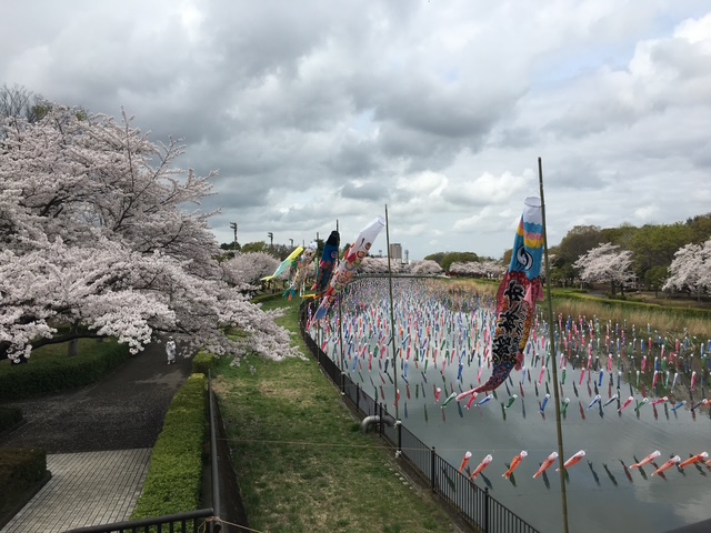 群馬県の有名な場所