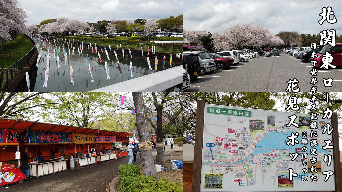 群馬県北関東ローカル花見スポット