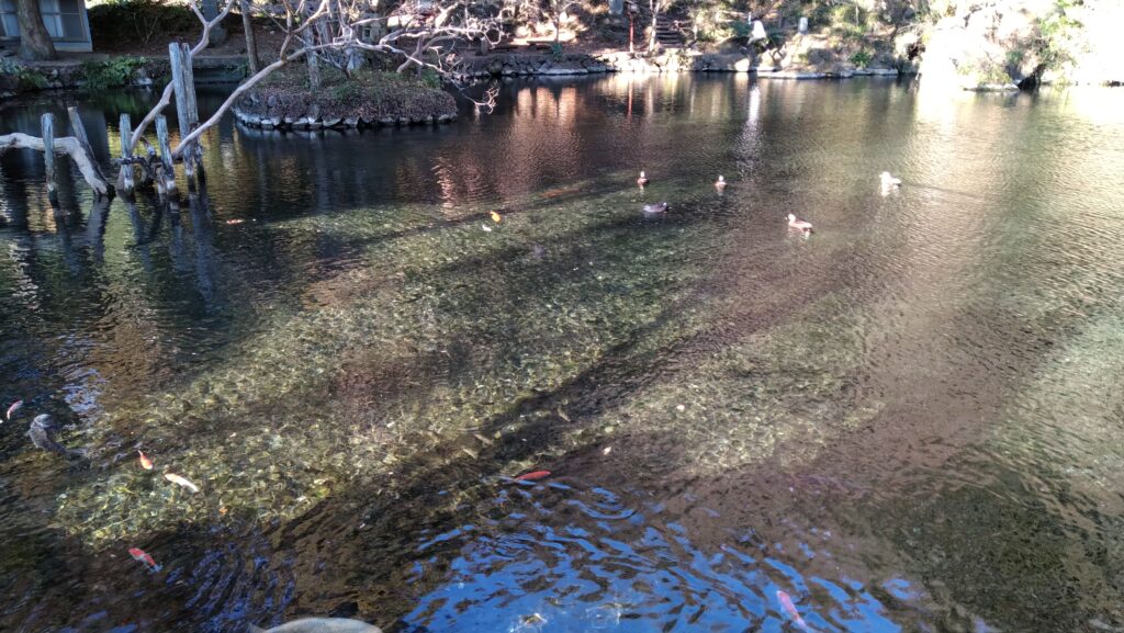 日本で湧水の綺麗な場所