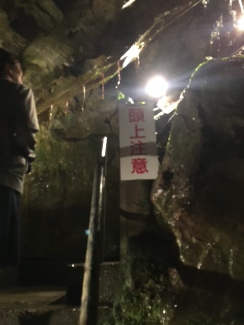 日原鍾乳洞の内部