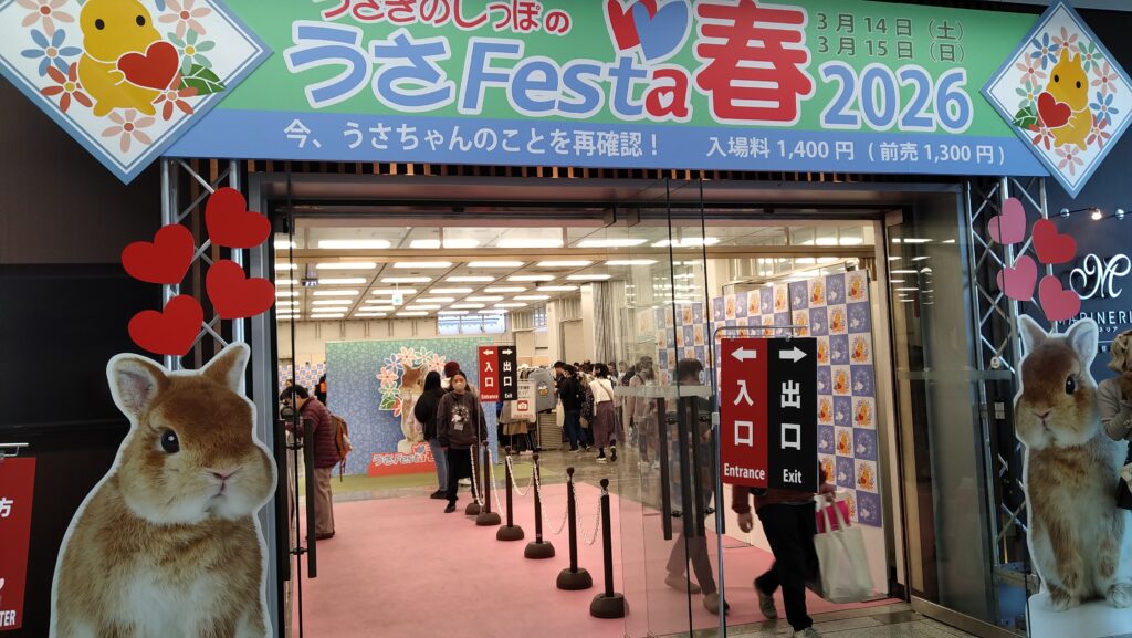 うさぎのイベント